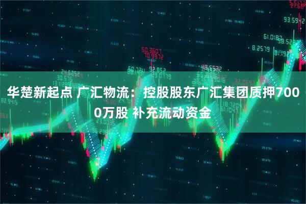 华楚新起点 广汇物流：控股股东广汇集团质押7000万股 补充流动资金